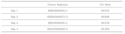 Bd Hap 1, 2, 3, 4와 유사한 haplotype 정보