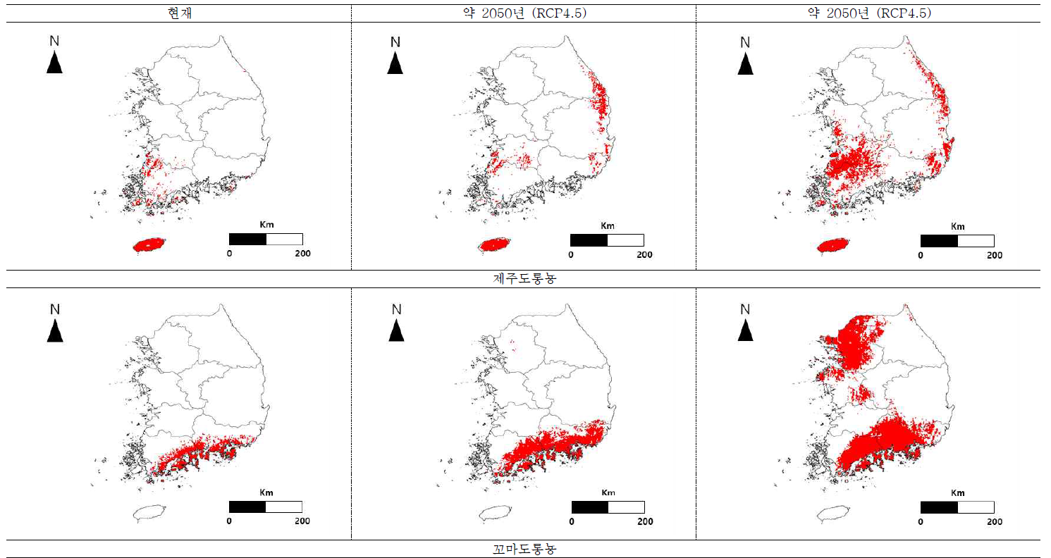 기후변화에 따른 제주도롱뇽과 꼬마도롱뇽의 분포지도