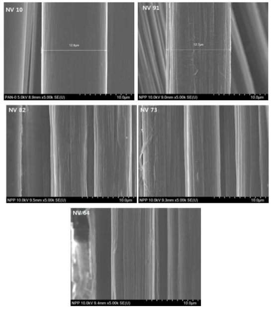 PAN/PVA precursor 표면(SEM)