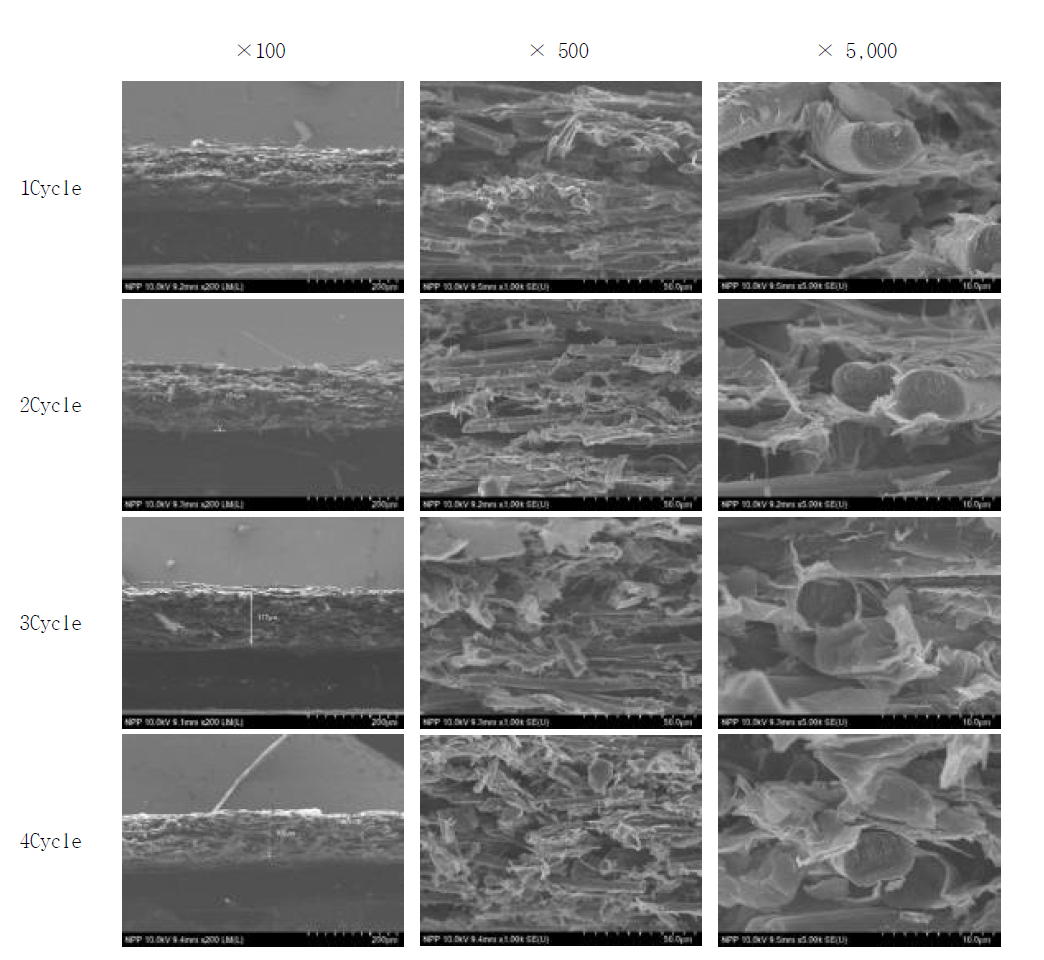 함침Cycle 따른 흑연화 공정 후 탄소섬유페이퍼의 단면 형상