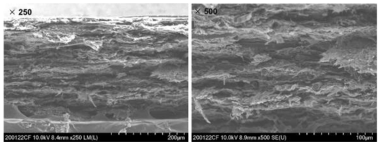 탄소섬유페이퍼 단면형상 (SEM)