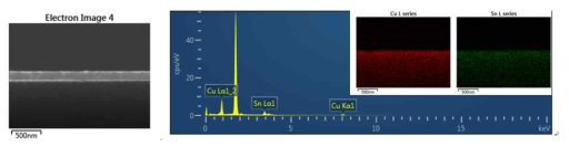 Polished Silicon 웨이퍼에 Cu-Sn co-vaporation(Sample #1) 후 EDS 분석 결과