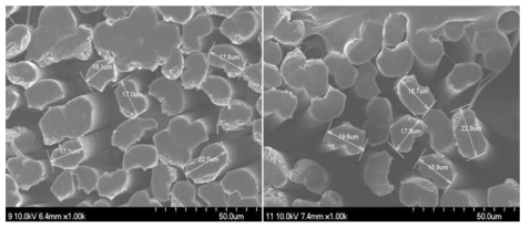 PAN presursor 단면 SEM 사진 (좌)유제미처리 (우)유제처리
