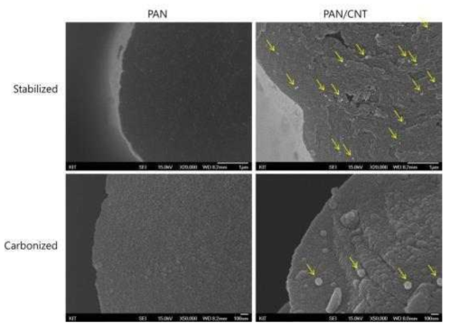 안정화 및 탄화된 precursor 섬유 단면 구조(SEM)