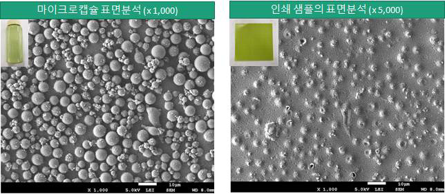 환경(자기장)감응형 발색 마이크로캡슐의 SEM 분석