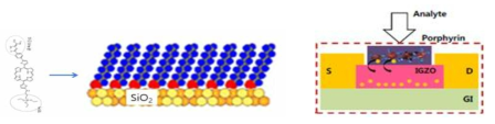 포르피린센서의 소자(FET)적용의 예