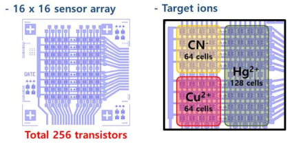 16 × 16 FET Array 의 설계와 각 영역별 목표이온 센싱 위치