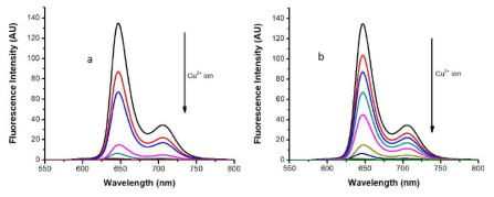 구리이온에 대한 DPA-P (8.33 μM) 의 형광적정실험(λex =407 nm) 변화. (a) 건대샘플, (b)오영샘플