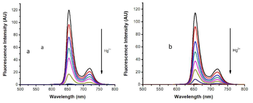 수은이온에 대한 DPA-P (5.00 μM) 의 형광적정실험(λex = 418 nm) 변화. (a) 건대샘플, (b)오영샘플