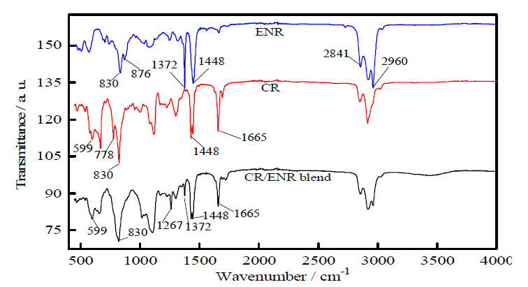 ENR, CR 과 CR/ENR blends의 FTIR 스펙트럼