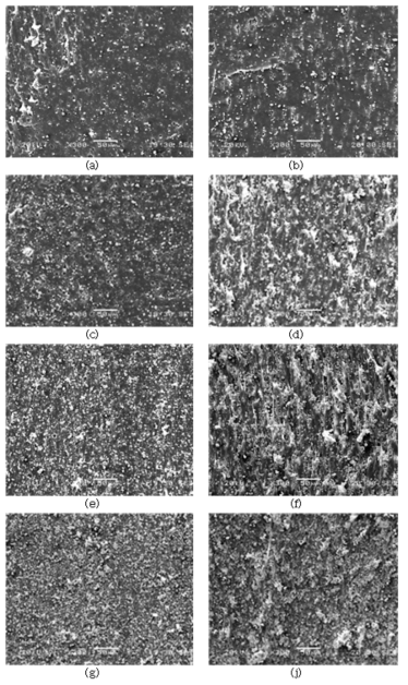 CIP 함량에 따른 CB-filled EPDM MREs의 모폴로 지. 등방성 MREs ; (a) 0 phr, (c) 53 phr, (e) 120 phr, (g) 204 phr, (i) 318 phr. 이방성 MREs ; (b) 0 phr, (d) 53 phr, (f) 120 phr, (h) 204 phr (j) 318 phr