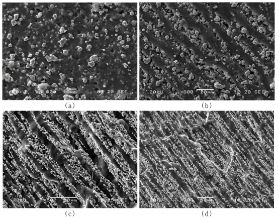 CIP 함량에 따른 AEM based MRE의 모폴로지 (a):등방성 MRE(349 phr), (b):이방성 MRE(349 phr), (c),(d):이방성 MRE(538 phr)