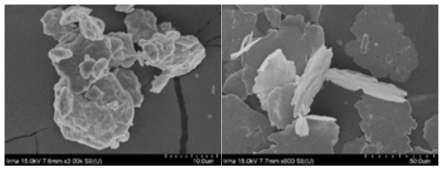 자성체(SD) 형상 및 크기별 모양(왼쪽:Powder,평균입자 5~10㎛, 오른쪽:Flake, 평균입자 40~70㎛)