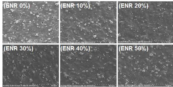 Epoxide Group 함량에 따른 SEM 표면 사진(1,000배 확대)