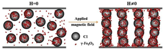 γ-Fe2O3를 이용한 CI 입자 표면 개질 모식도