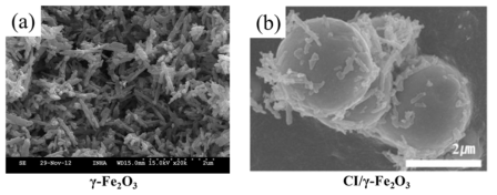 Pure γ-Fe2O3 (a), CI/γ-Fe2O3 (b)의 SEM 이미지