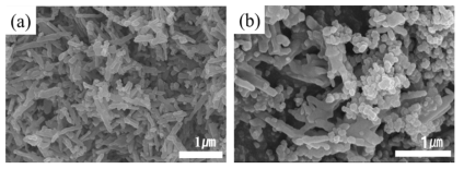 Pure γ-Fe2O3 (a), γ-Fe2O3/CB (b)의 SEM 이미지