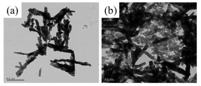 Pure γ-Fe2O3 (a), γ-Fe2O3/CB (b)의 TEM 이미지