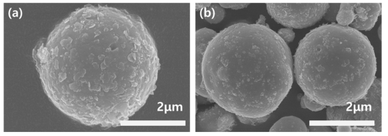 APTES를 이용한 CI 표면 개질 SEM 이미지 (a) 1차 scale up, (b) 2차 scale up