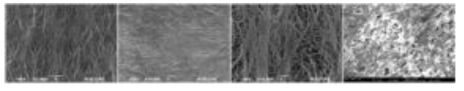 공정 조건 변경에 따른 다양한 지지체 양상 SEM 이미지