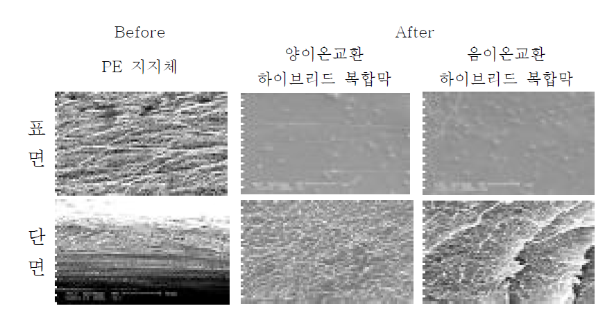 이온교환 하이브리드 복합막의 FE-SEM을 통한 표면과 단면 사진