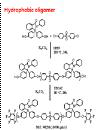 (DHBP-SDCDPS)-DHBP -HFB의 합성(Hydrophilic Oligomer)