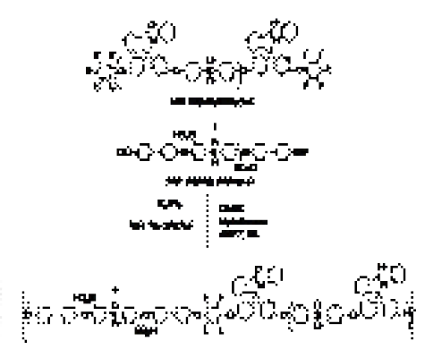 (DHBP-SDCDPS)-DHBP-HFB-PA-(DC DPS-PA)의 합성