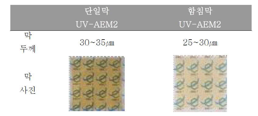 UV 광경화를 통해 제조한 음이온 교환막의 이미지