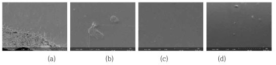 압출 속도에 따른 생분해성 고분자 튜브의 주사전자현미경 결과 (a)50 rpm (b)100 rpm (c)150 rpm (d)200 rpm