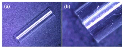 생분해성 고분자 튜브가공 공정 확립 (a)전체사진, (b)확대사진