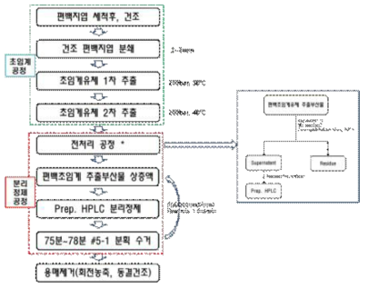 재협착 억제 및 재내피화 촉진 약물의 대량 분리 정제 공정 확립