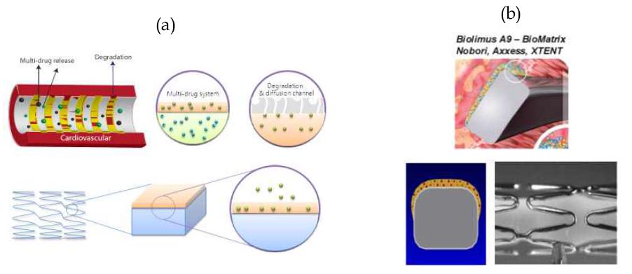 스텐트 양면 다중코팅 기술 개요: (a) 약물방출 메커니즘 모식도, (b) 양면 다중약물 코팅 스텐트 모식도