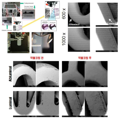 코팅 과정과 코팅 전후의 표면 사진