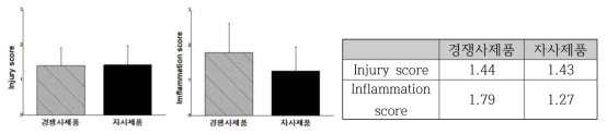 정량적 분석 Injury, Inflammation score