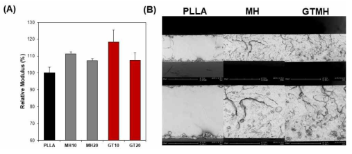 생분해성 고분자 복합체의 (A)모듈러스 및 (B)파단표면