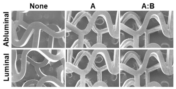 코팅 조건에 따른 생분해성 고분자 스텐트 외/내면 표면 사진