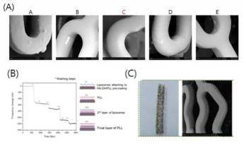 시롤리무스(SRL) 약물코팅 조건 검증: (A) 코팅조건별 표면모습, (B) 다층코팅 후 표면분석 및 (C) 구조체 표면분석