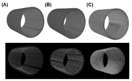 최적화된 기술을 융합 생분해성 고분자 복합체 튜브의 Micro-CT: (A) PLLA, (B) PLLA/Additive/MH, (C) CGBio