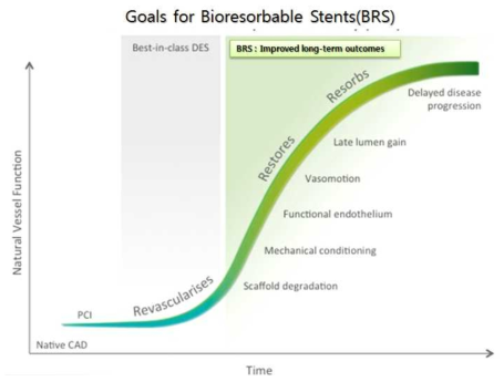 임상에서 생분해성 스텐트의 사용목적 및 작용