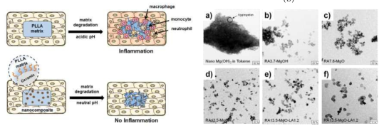 (a) 세라믹 나노입자를 통한 염증 제어 메커니즘 및 (b) 기능성 세라믹 나노입자의 전자현미경 사진