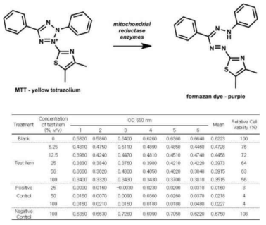 MTT assay