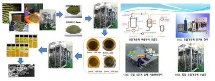 편백오일 초임계유체 추출공정 및 초임계 유체 추출 대량생산 장비