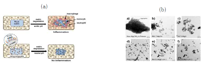 (a) 세라믹 나노입자를 통한 염증 제어 모식도 및 (b) 기능성 세라믹 나노입자의 전자현미경 사진