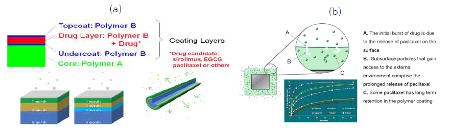(a) 약물방출 제어 기술 개요 및 (b) 약물 방출 메커니즘 개요