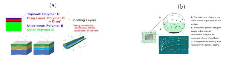 약물방출 제어 기술 개요 및 (b) 약물 방출 메커니즘 개요