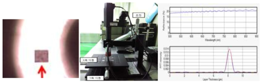 약물 코팅 두께 평가