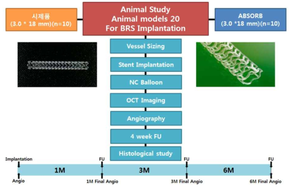 Graphical scheme of Preclinical process