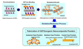 CNT+금속 나노 복합체 예시