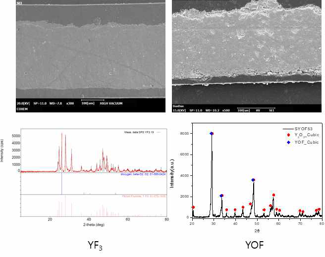 YF3, YOF 코팅층 단면 미세구조 및 결정상 분석