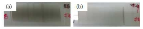 노즐 이동속도에 따른 코팅 평가 (a) 100 mm/min, (b) 400 mm/min
